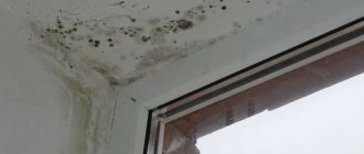 Почему новые пластиковые окна могут привести к плесени